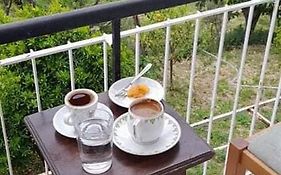 Vacation House Dionysia